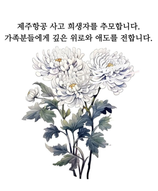 배너