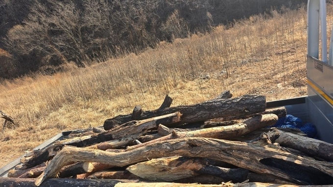재난 대응 명분 속 관리 사각지대, 산림 행정의 신뢰를 묻다