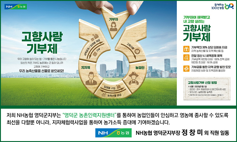 배너