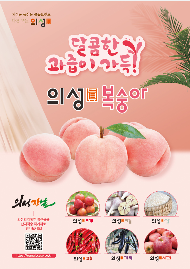 배너