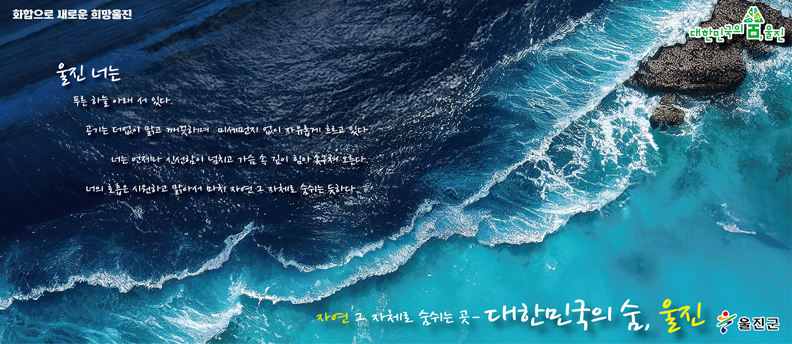 배너
