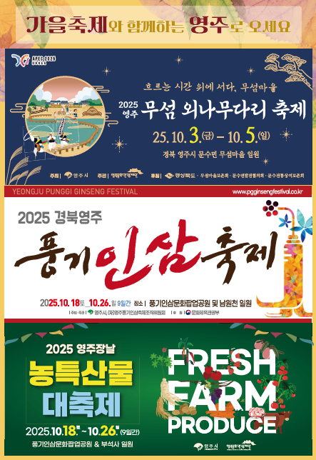 배너