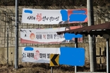 봉화 소천면 도로를 뒤덮은 불법현수막, 행정의 침묵은 책임 회피인가