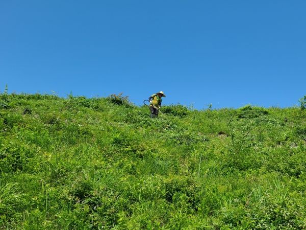 속초시, 어린나무 생육환경 조성으로 탄소중립 실천에 기여