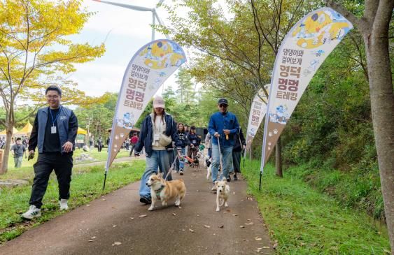 반려견과 함께 즐긴 영덕의 가을소풍 '제1회 영덕 멍멍 트레킹' 성황리 종료