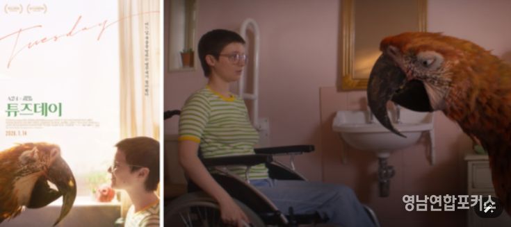 <튜즈데이> 포스터 & 스틸