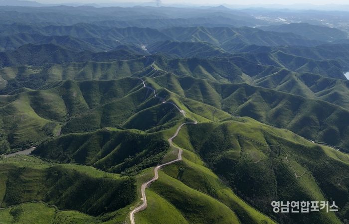 초대형 산불 이후, 함께 이겨낸 1년 안동시, 일상 회복 위에 새로운 미래를 그리다